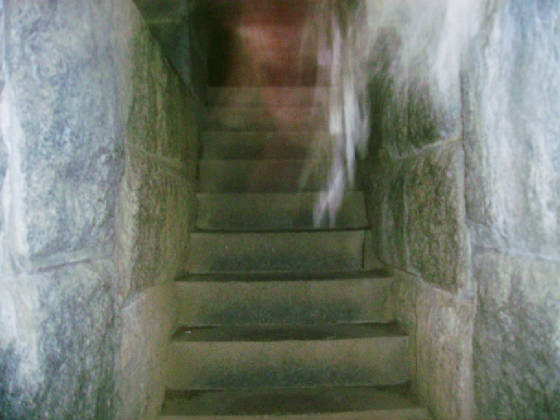 fortnik095a.JPG