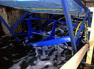 GORLOFFVinalhaven.jpg