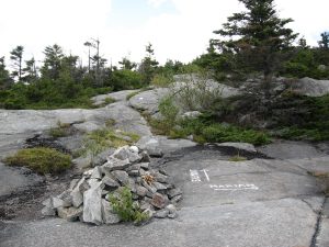 IMG_0011.jpg