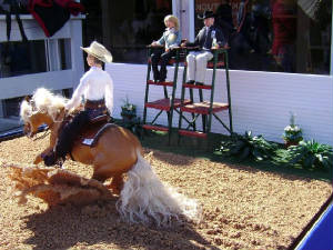 WEG/Reining2.JPG