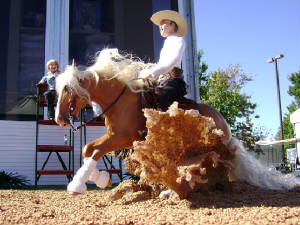 WEG/reining.jpg