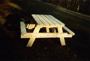 LastScan2.jpg