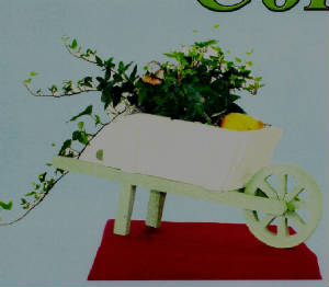 LastScan8.jpg
