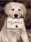 pet_sitting_by_sue002001.jpg