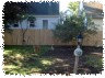 pet_sitting_by_sue003001.jpg
