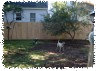 pet_sitting_by_sue003004.jpg
