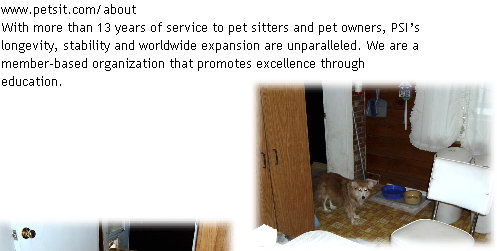 pet_sitting_by_sue004001.jpg