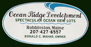 Ocean Ridge Development Ocean View Lots Robbinston Maine