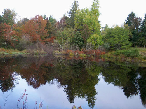 Ocean Ridge Development pond