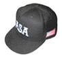 ASA Logo Hat - Field and Plate